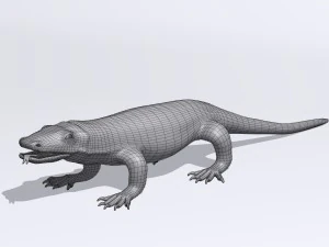 komodo dragon 3D Model
