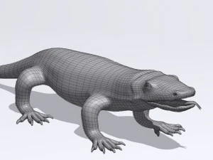 komodo dragon 3D Model