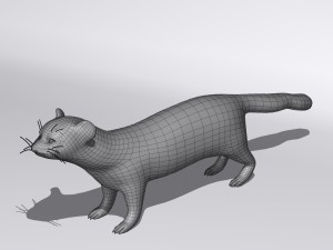 weasel 3D Модель