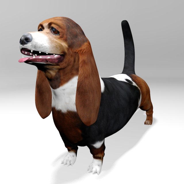 basset hound 3Dモデル .c4d .max .obj .3ds .fbx .stl .blend 