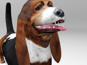 basset hound 3Dモデル