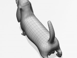 basset hound 3Dモデル