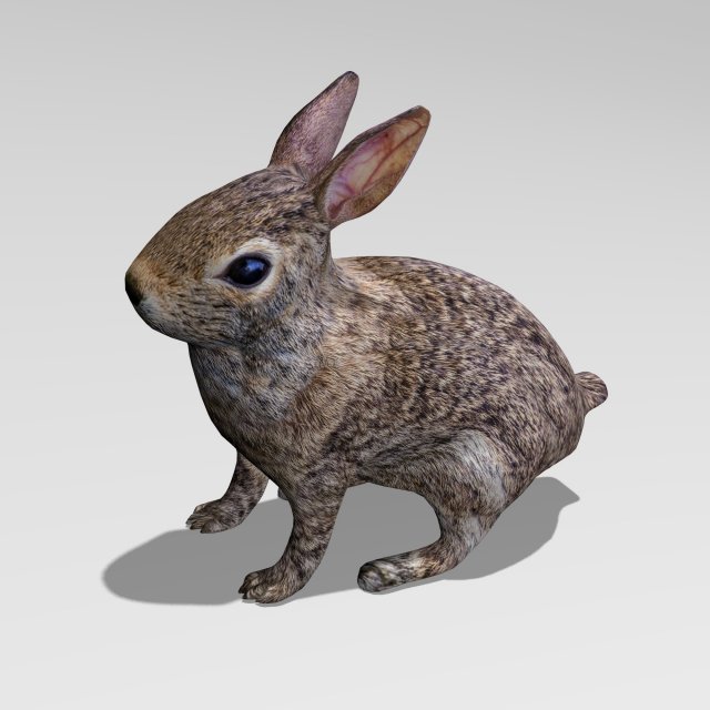 rabbit 3D Model .c4d .max .obj .3ds .fbx .stl .blend 