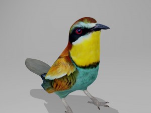 European bee eater 3D Model