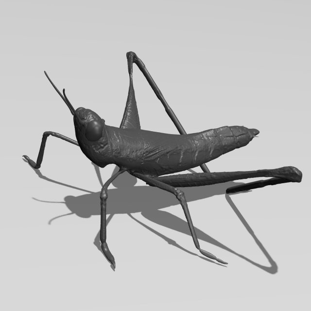 printable cricket 3D Model .c4d .max .obj .3ds .fbx .stl .blend