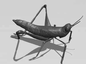 printable cricket 3D 模型