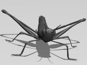 printable cricket 3D 模型