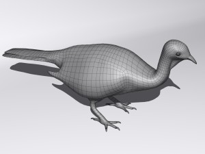 Crested guan Modelo 3D