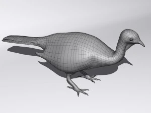 Crested guan 3D Model