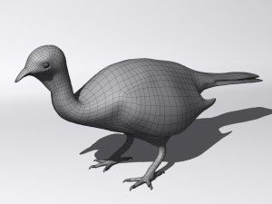 Crested guan Modelo 3D