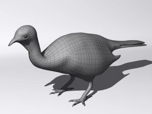 Crested guan 3D Model