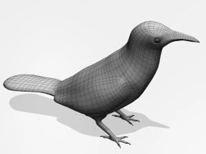 Honeycreeper 3D Model