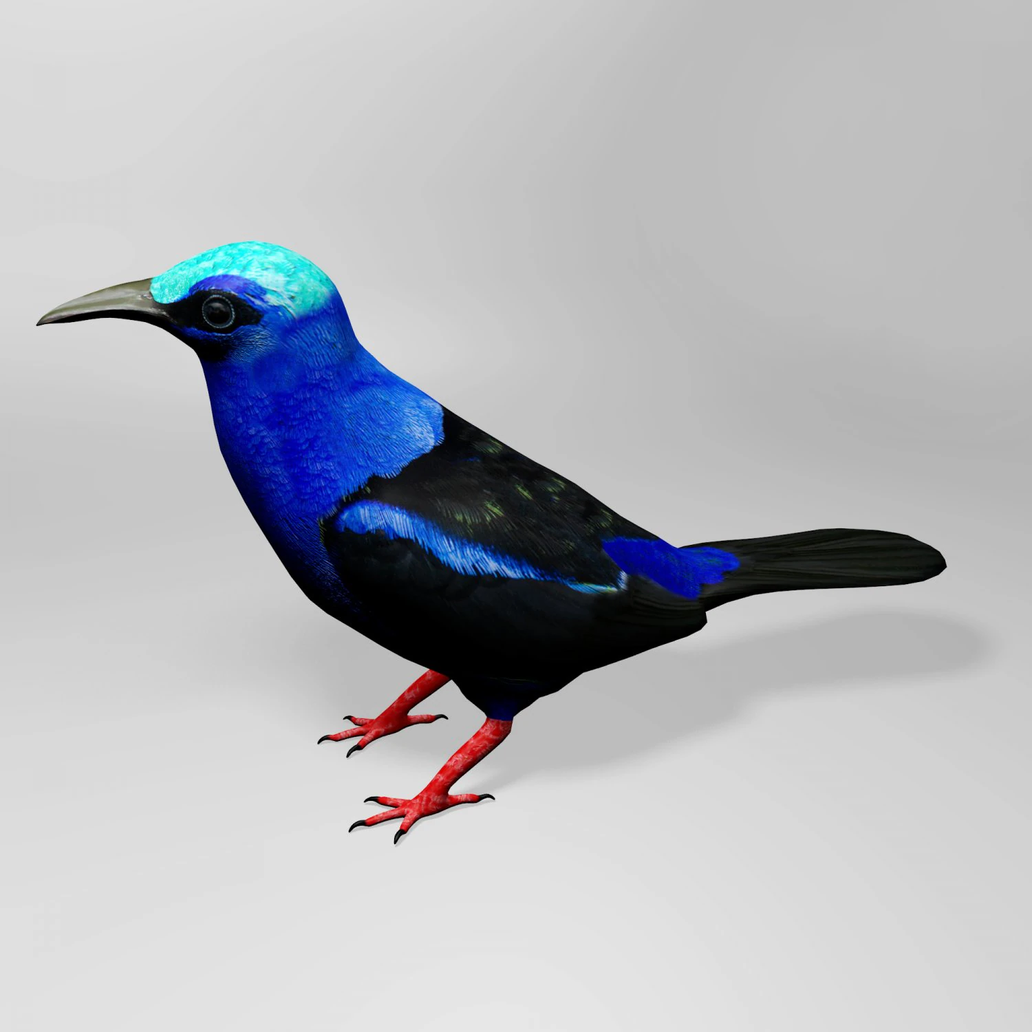 Honeycreeper 3D Model .c4d .max .obj .3ds .fbx .stl .blend 