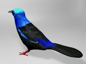 Honeycreeper 3D Model