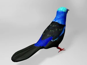 Honeycreeper 3D Model