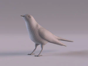 Cuckoo 3D Model
