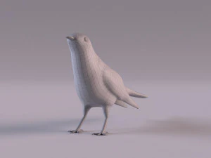 Cuckoo 3D Model