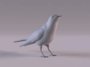 Cuckoo 3D Model