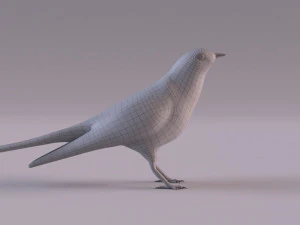 Cuckoo 3D Model