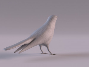 Cuckoo 3D Model