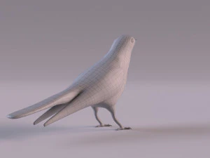Cuckoo 3D Model