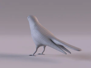 Cuckoo 3D Model