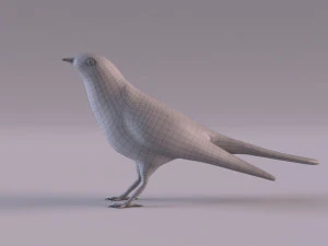 Cuckoo 3D Model