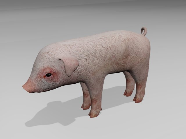 Little pig 3D Модель .c4d .max .obj .3ds .fbx .stl .blend 