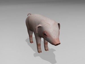 Little pig 3D Модель