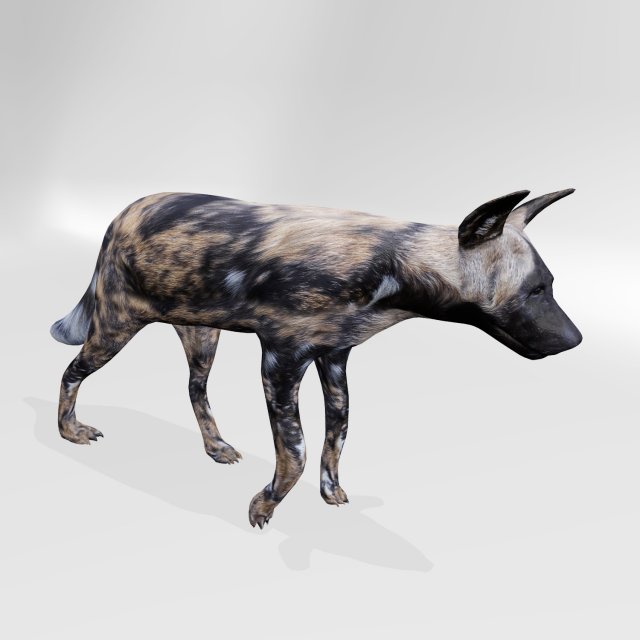 Hyena 3Dモデル .c4d .max .obj .3ds .fbx .stl .blend 