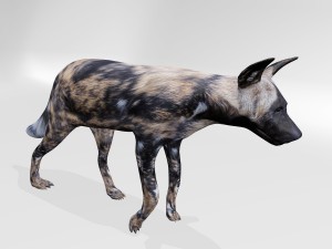 Hyena 3D-Modell