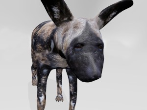 Hyena 3Dモデル