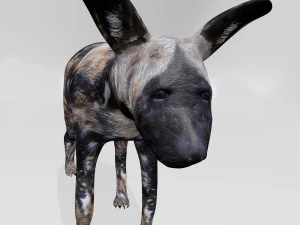 Hyena 3D Model
