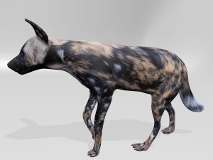Hyena 3Dモデル