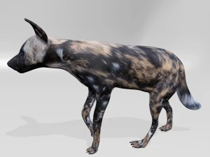 Hyena 3D Model