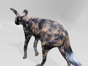 Hyena 3Dモデル