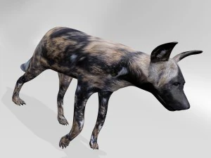 Hyena 3D Model