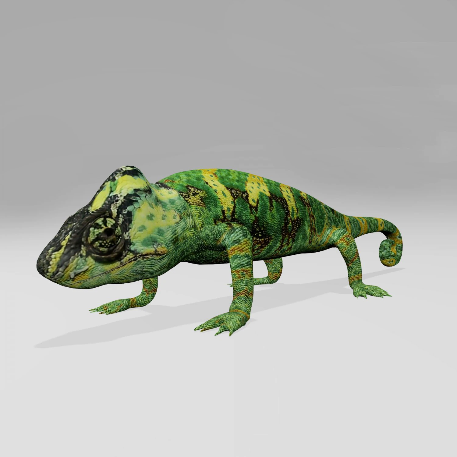 Chameleon 3D Model .c4d .max .obj .3ds .fbx .stl .blend 
