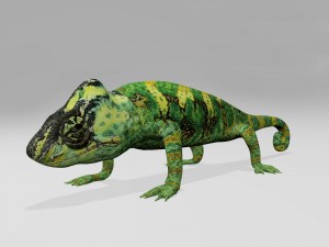 chameleon 3D Model