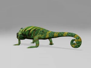 Chameleon 3D Model
