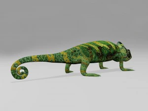 Chameleon 3D Model