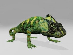 Chameleon 3D Model
