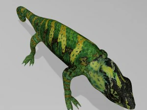 Chameleon 3D Model