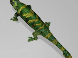 Chameleon 3D Model