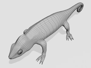 Chameleon 3D Model