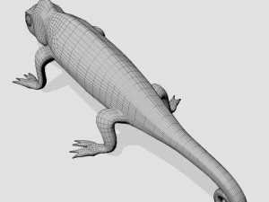 Chameleon 3D Model