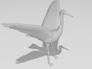 sandhill crane 3D Model