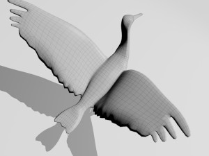sandhill crane 3D Model