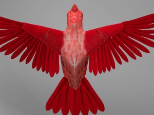 northern cardinal Modèle 3D