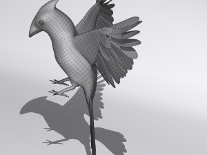 northern cardinal Modèle 3D